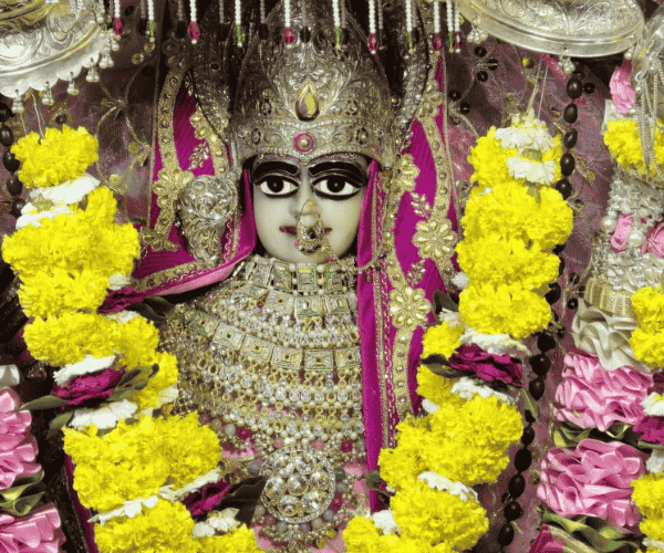 0006-7825490936189257809