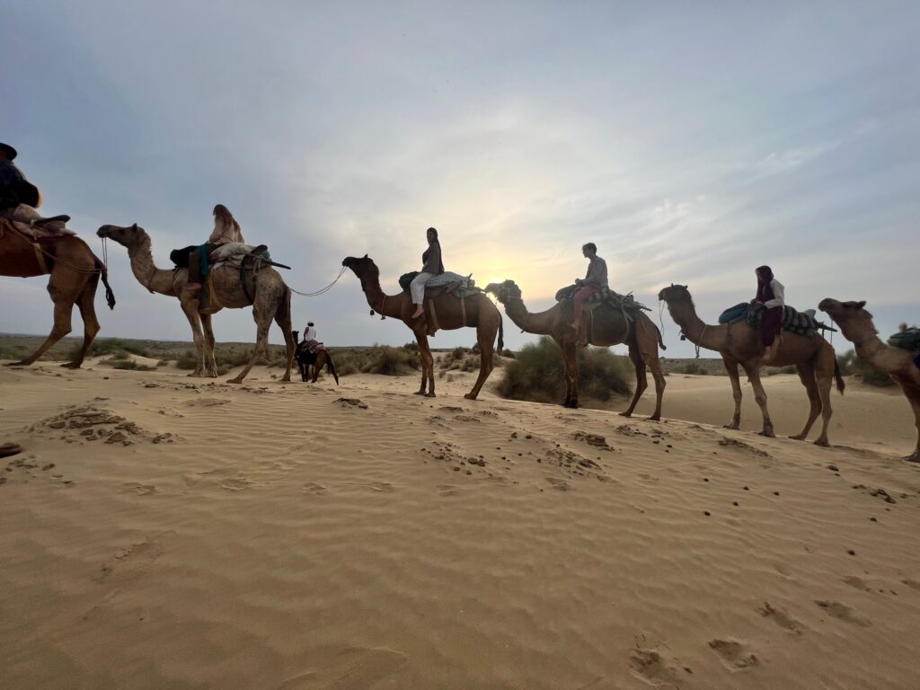 Camel Safari Sunset Tour Jaisalmer