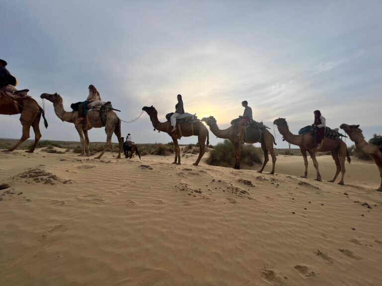 WhatsApp Image 2025-12-27 at 5.25.52 PM (2)